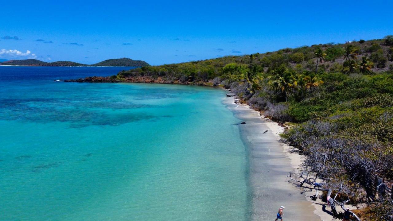 The New Caribbean Paradise Lägenhet Fajardo Exteriör bild
